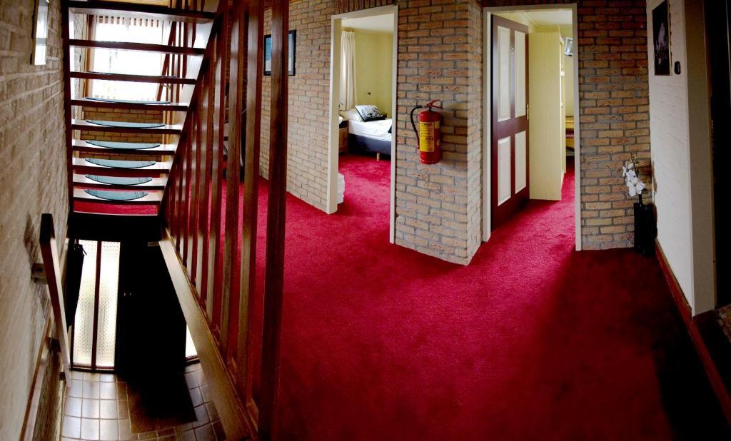 دي كوخ Guesthouse De Zonnestraal المظهر الخارجي الصورة